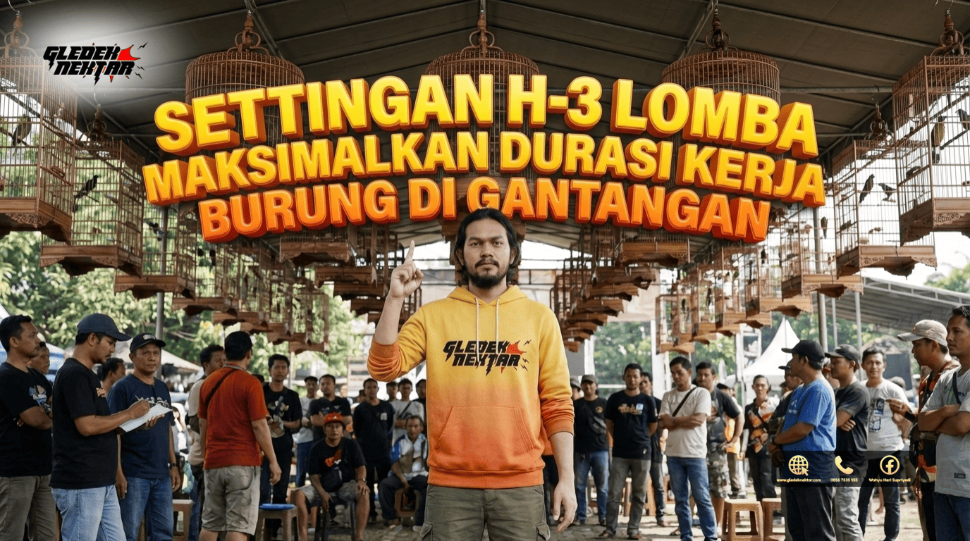 Settingan H-3 Lomba Maksimalkan Durasi Kerja Burung di Gantangan